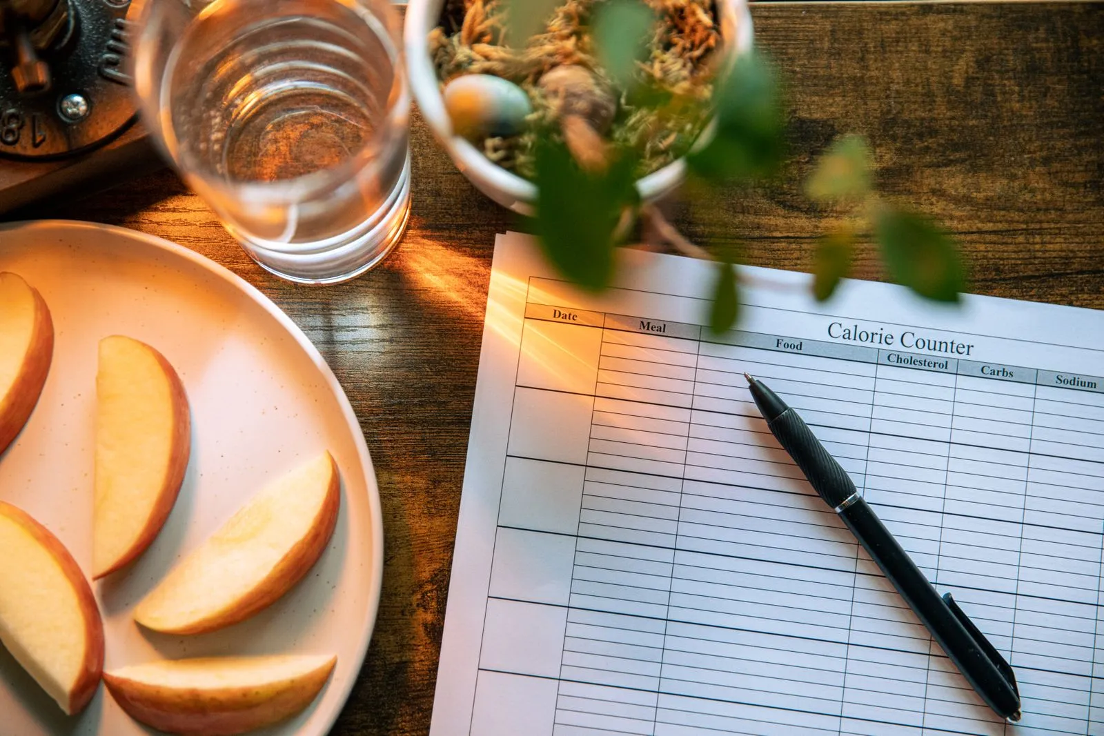Understanding Salt, Potassium and Phosphate